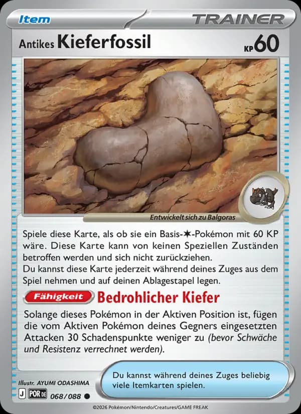 Antikes Kieferfossil