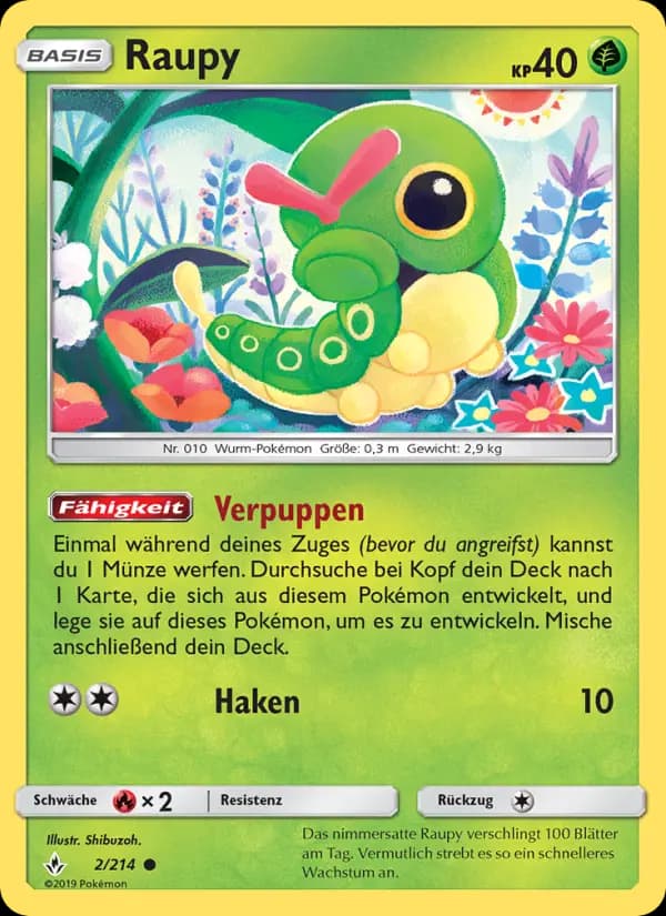 Raupy
