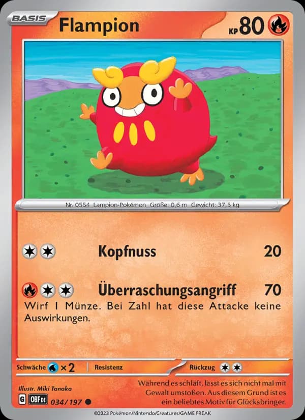 Flampion