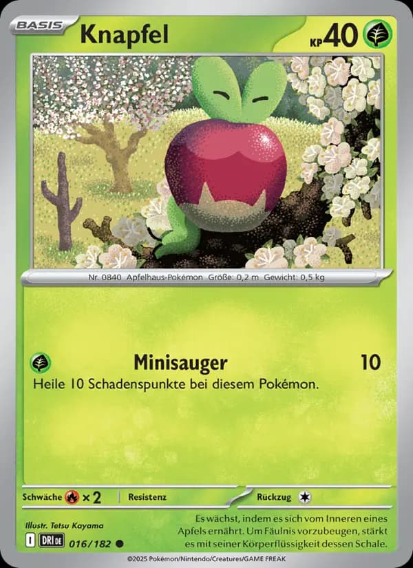Knapfel
