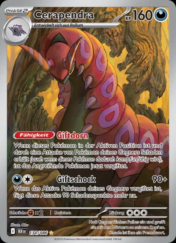 Cerapendra