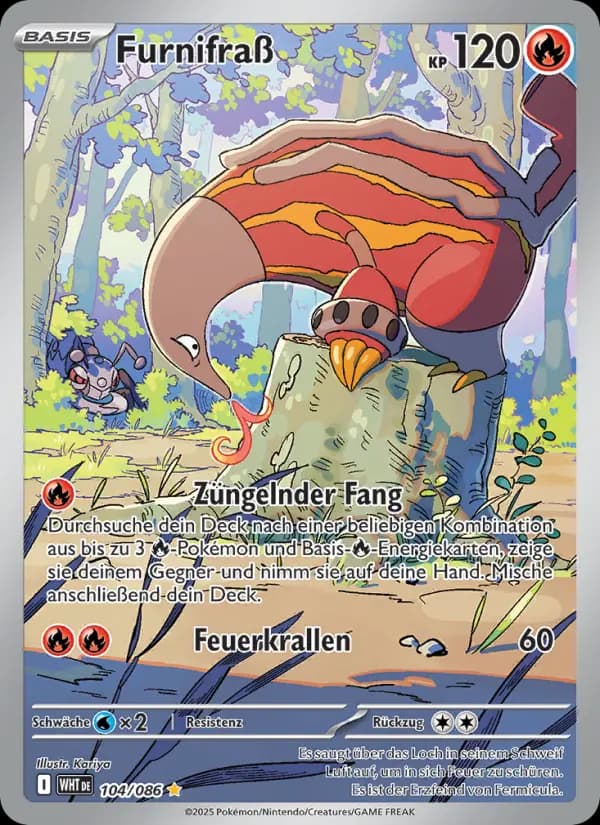 Furnifraß