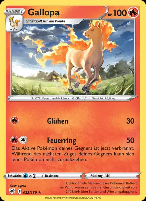 Gallopa