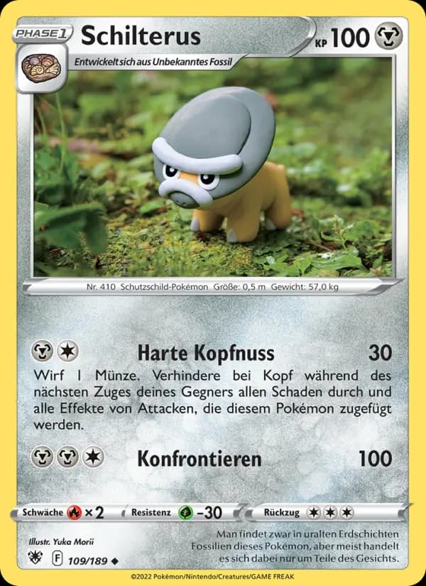 Schilterus