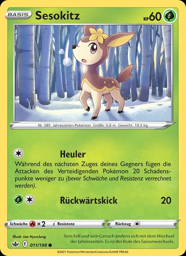 Sesokitz