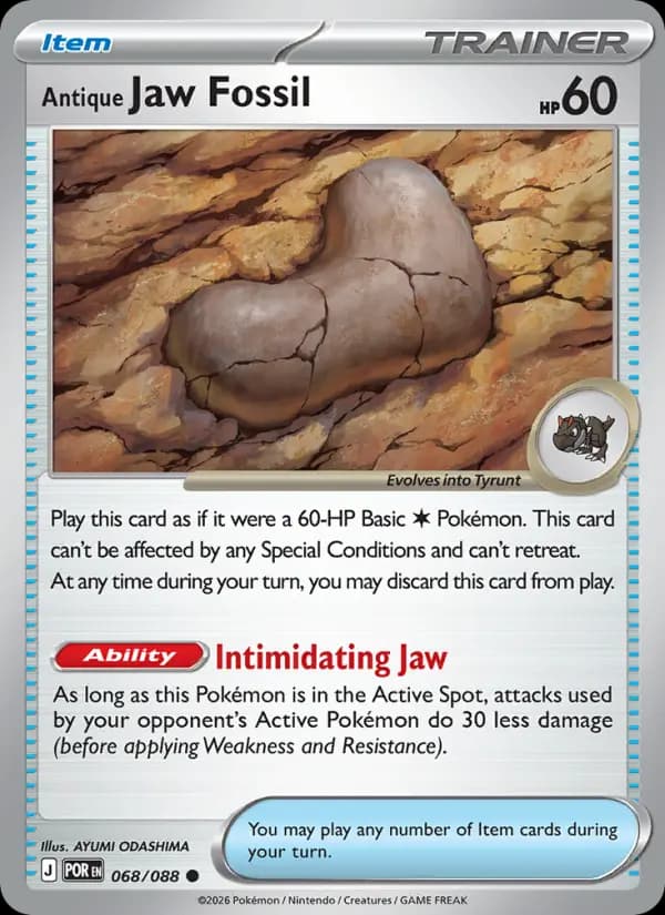 Antique Jaw Fossil