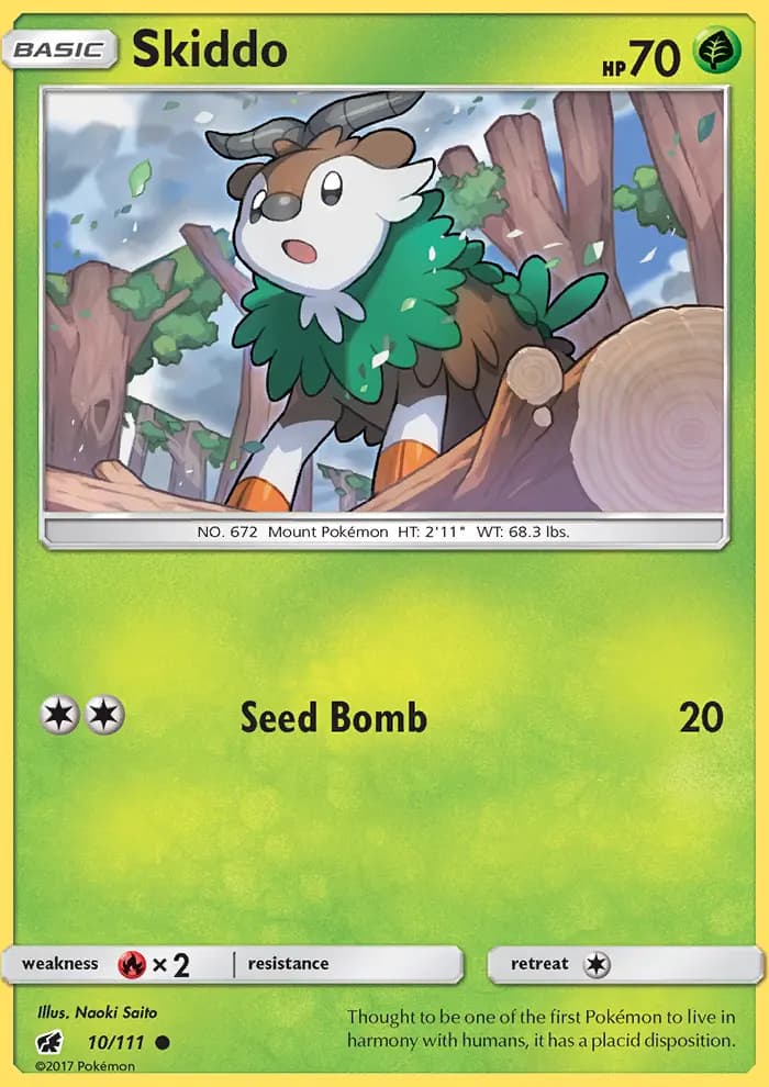 Skiddo