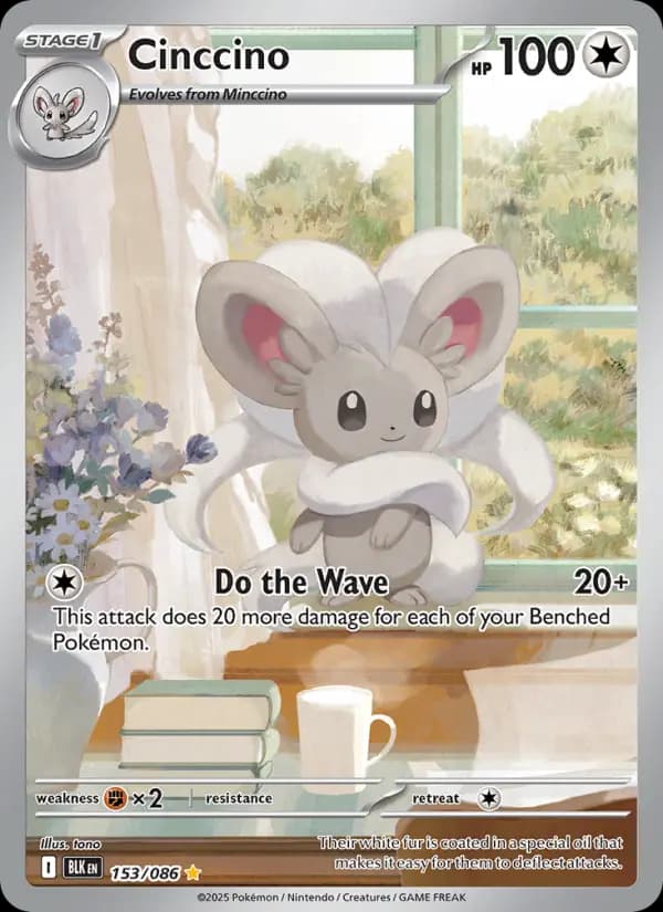 Cinccino