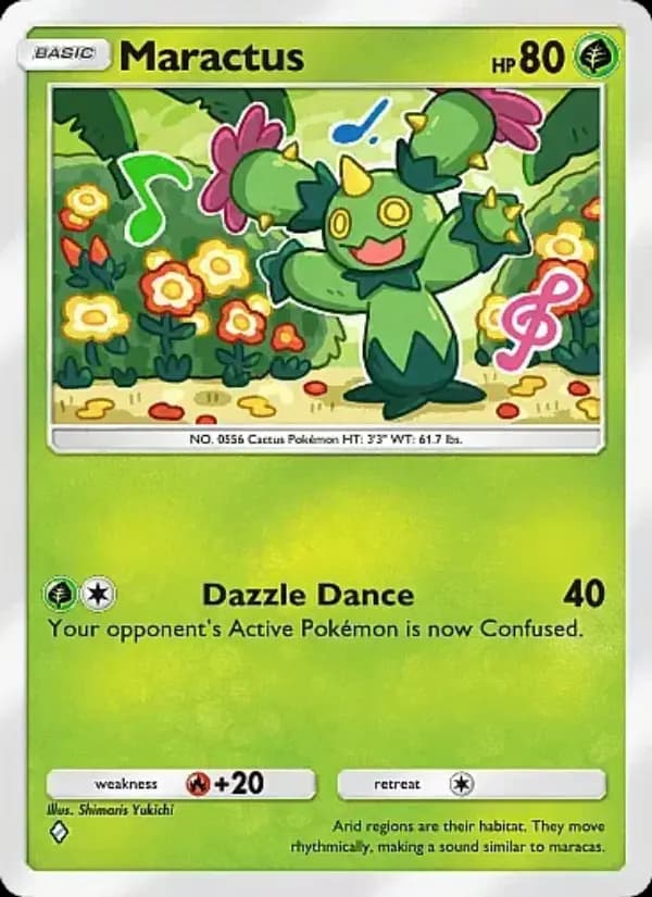 Maractus