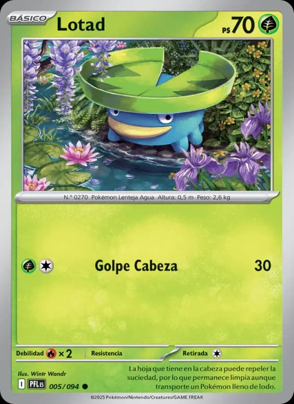 Lotad