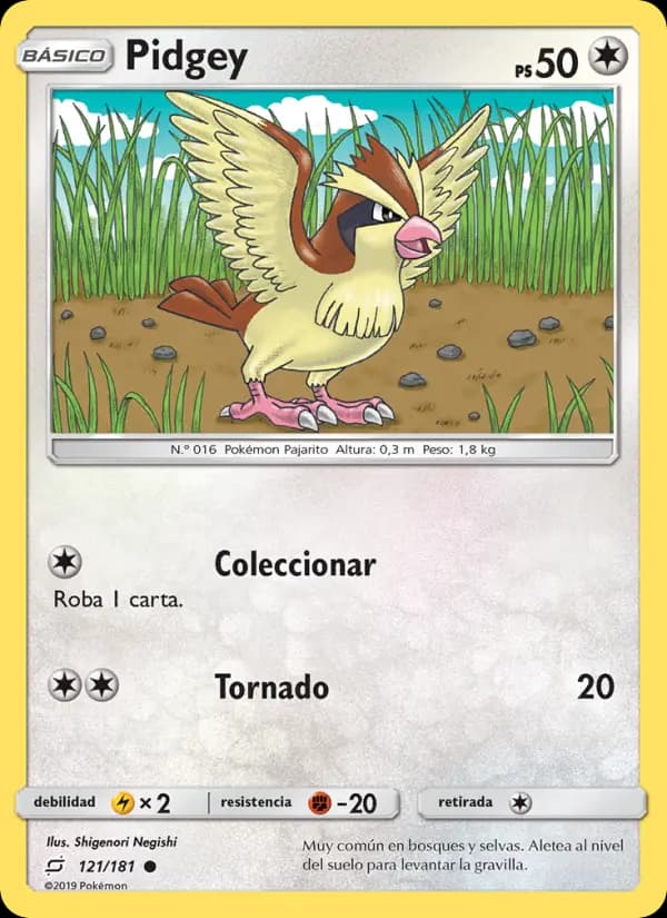 Pidgey