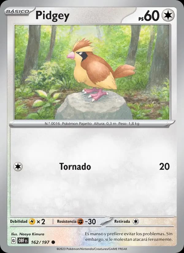 Pidgey