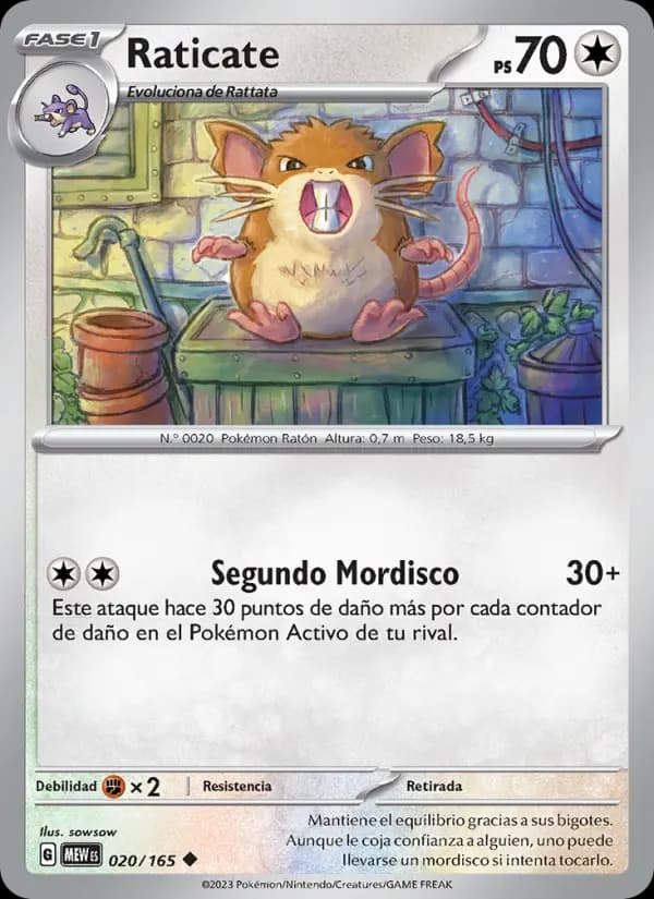 Raticate