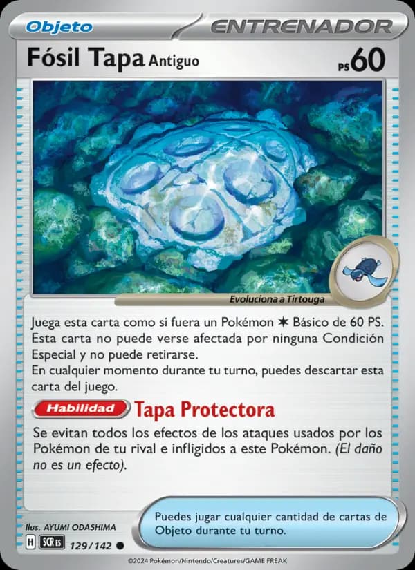 Fósil Tapa Antiguo