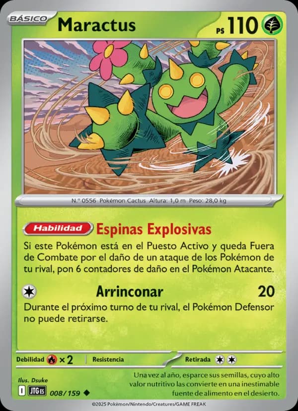Maractus