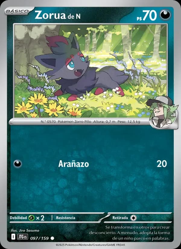 Zorua de N