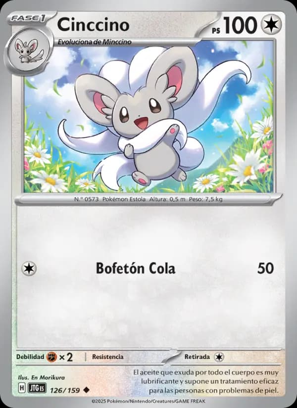 Cinccino