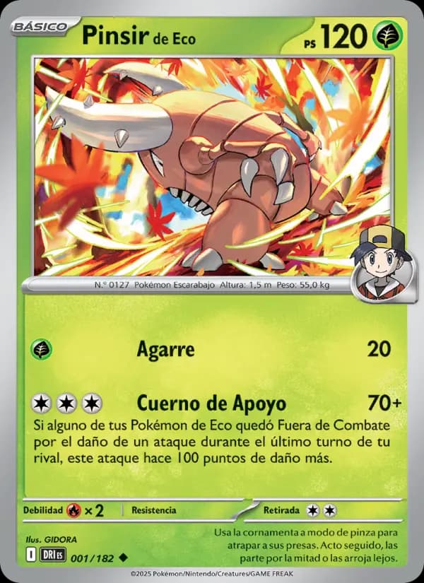 Pinsir de Eco