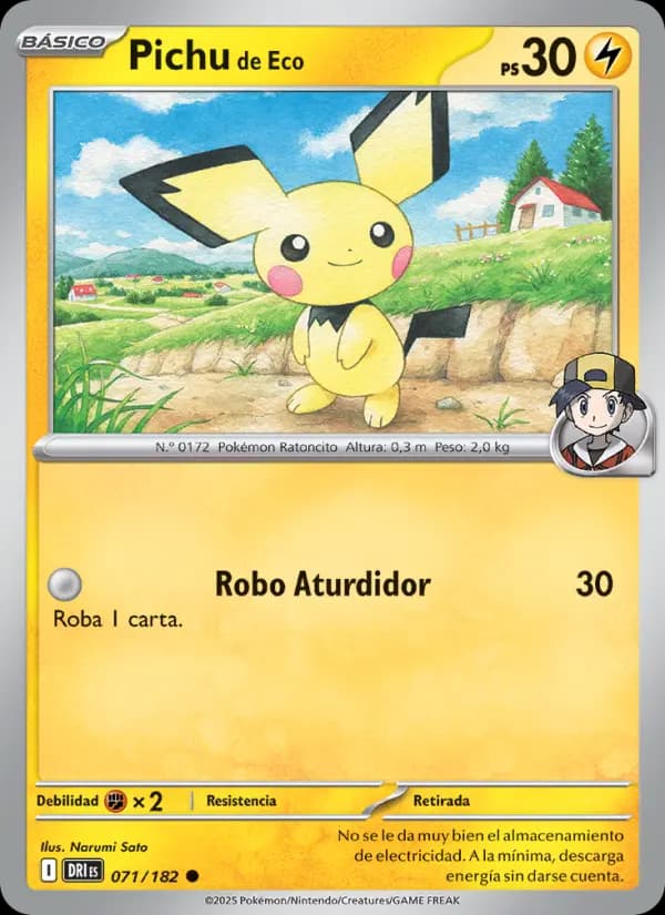 Pichu de Eco