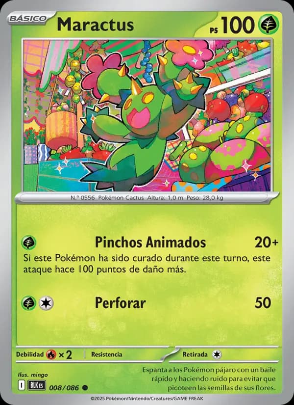 Maractus