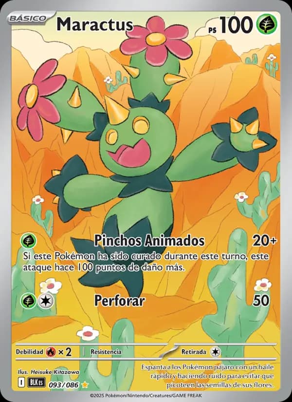 Maractus
