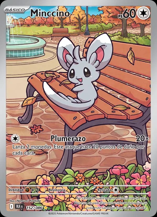 Minccino
