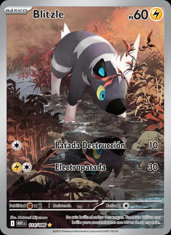 Blitzle