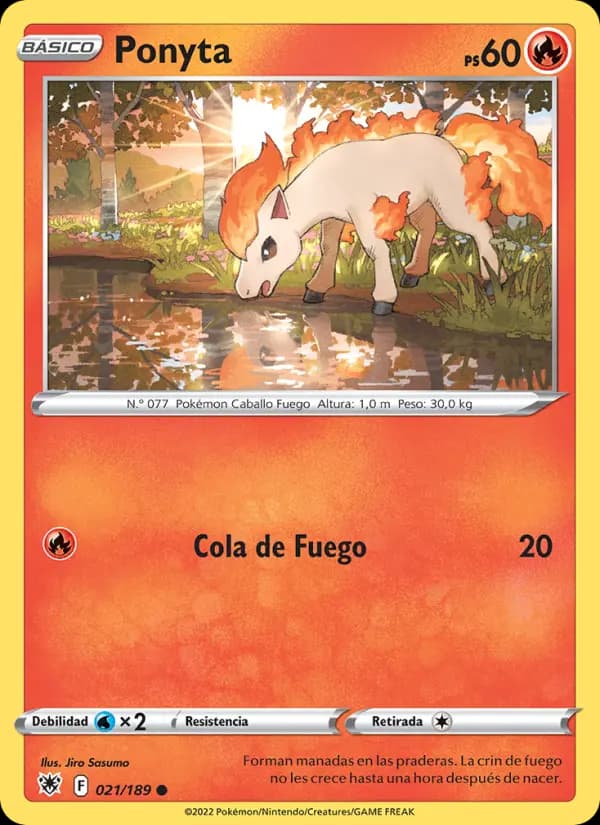 Ponyta