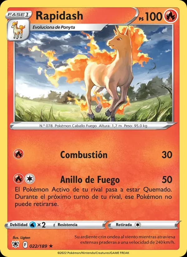Rapidash