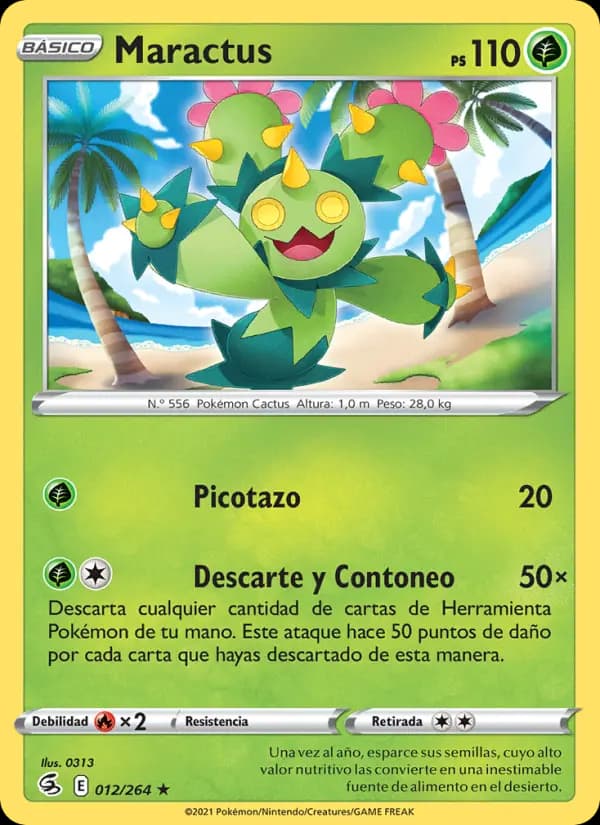 Maractus