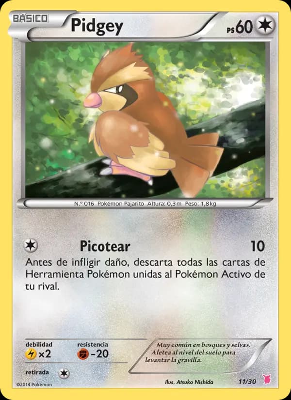 Pidgey
