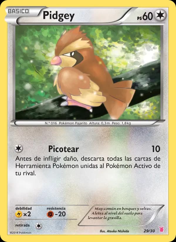 Pidgey