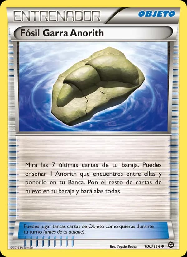 Fósil Garra Anorith