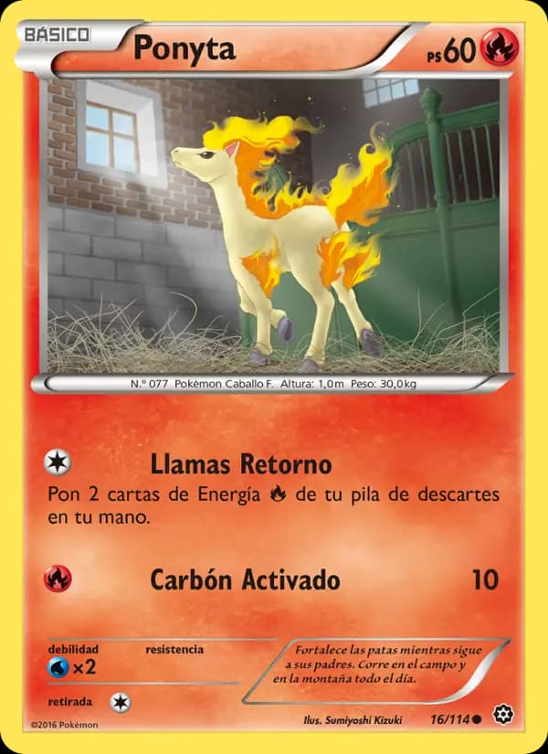 Ponyta