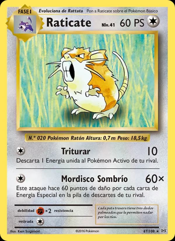 Raticate