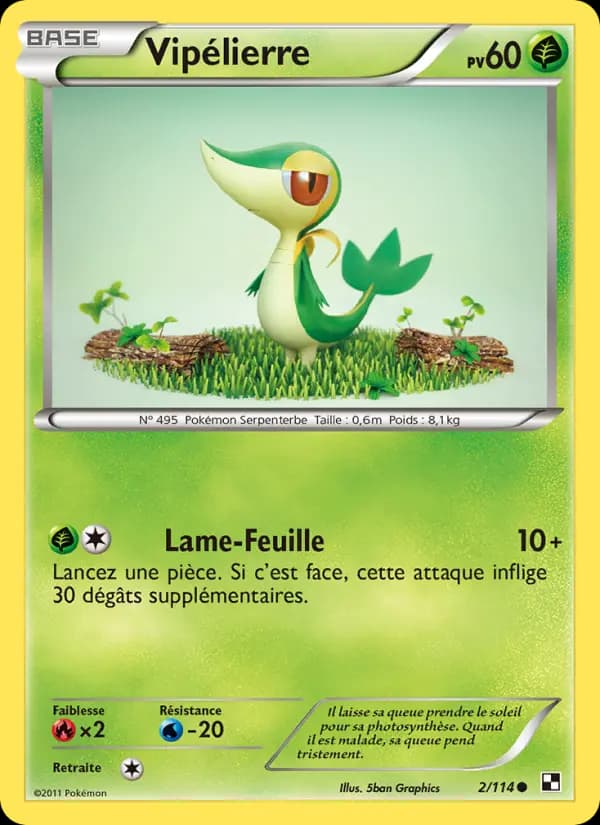 Vipélierre