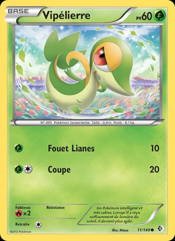 Vipélierre