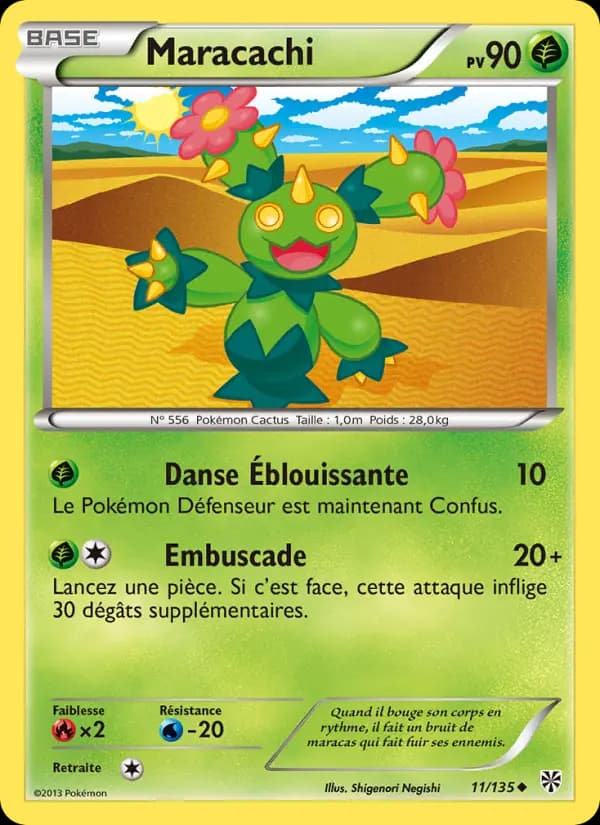 Maracachi