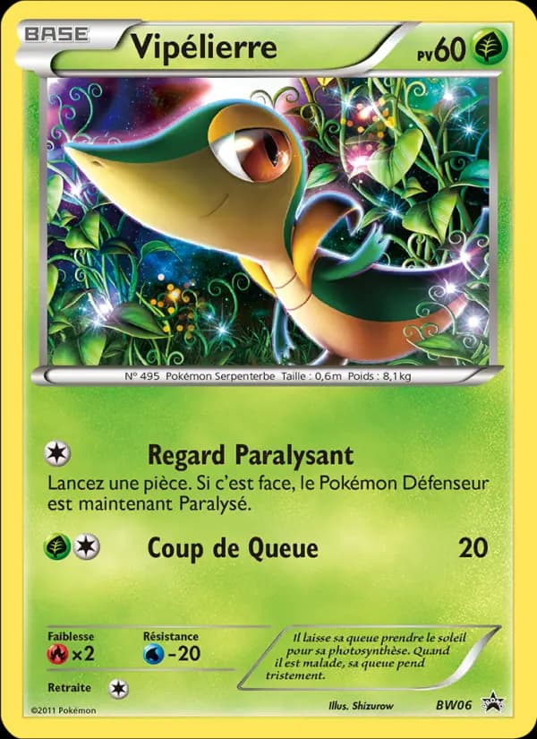 Vipélierre