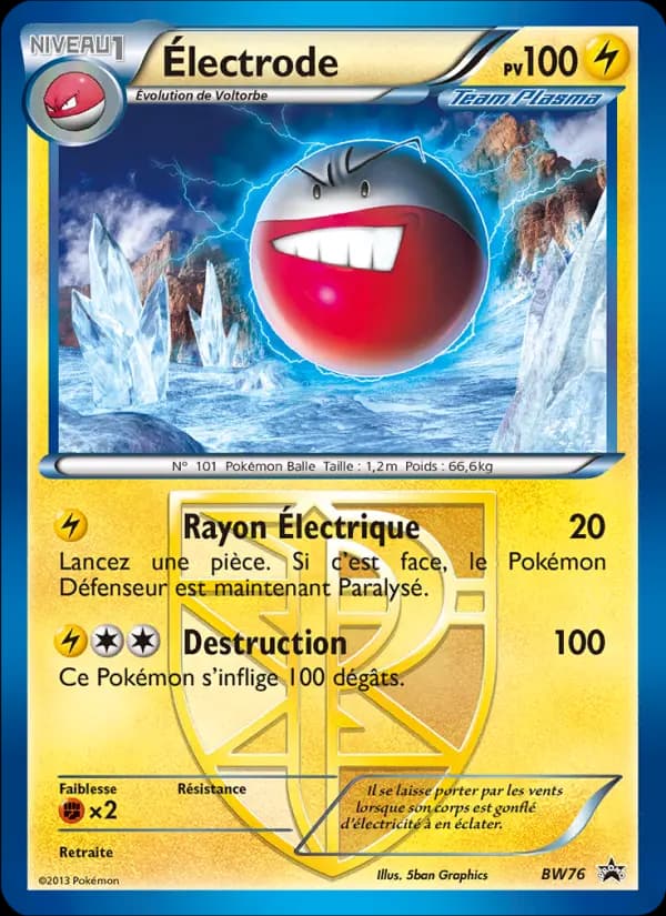 Électrode