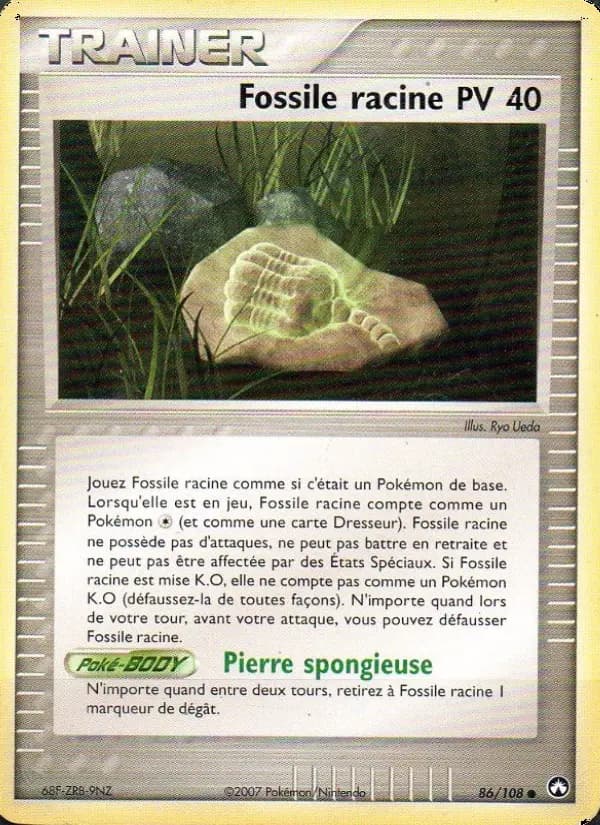 Fossile racine