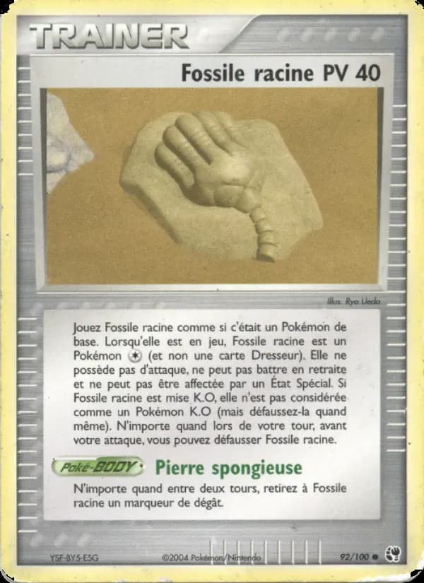 Fossile racine