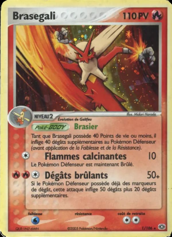 Brasegali