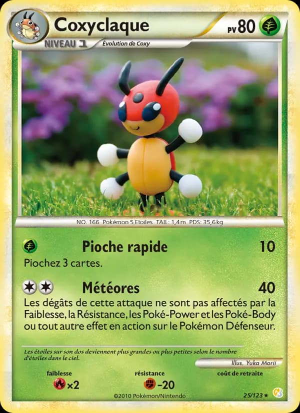 Coxyclaque