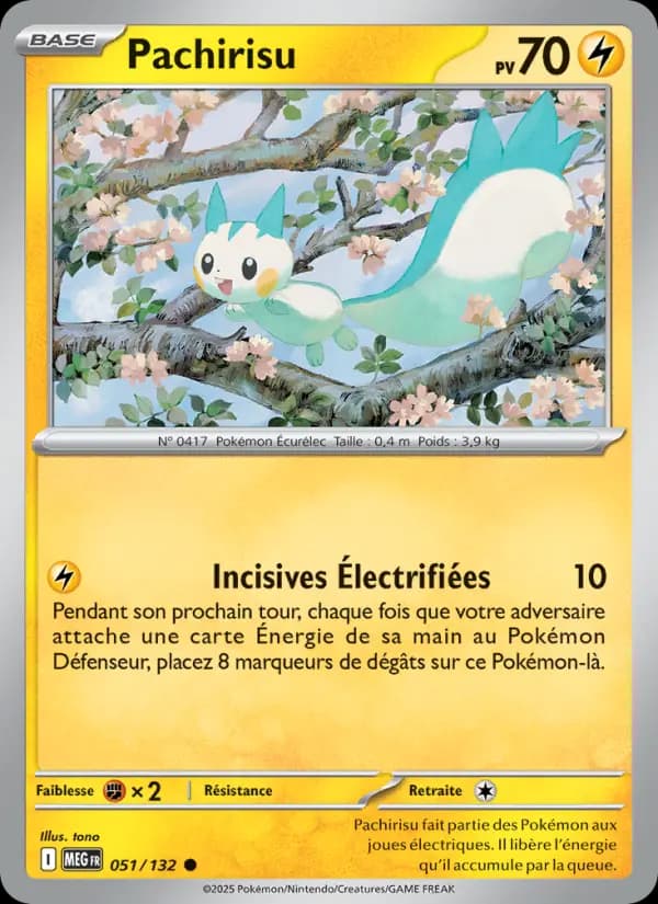 Pachirisu