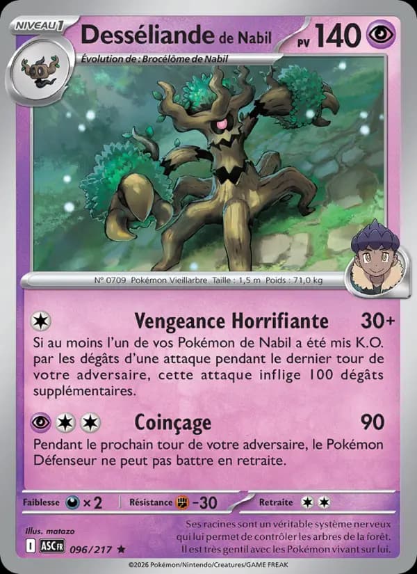 Desséliande de Nabil
