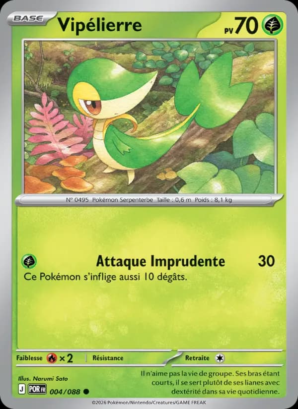 Vipélierre