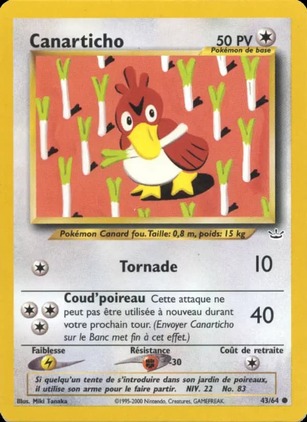 Canarticho
