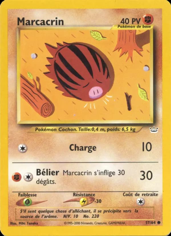 Marcacrin