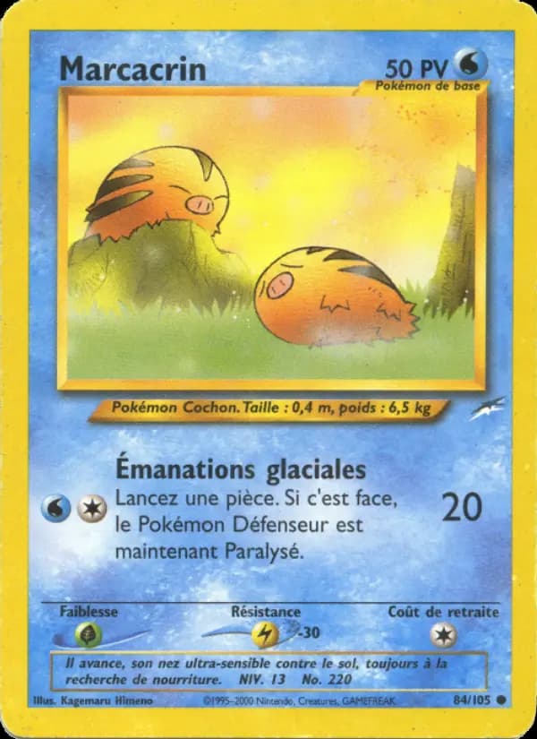 Marcacrin